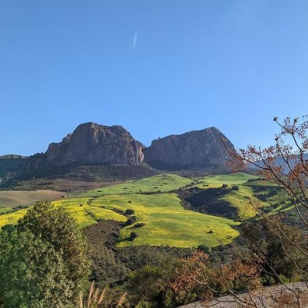 Ríogordo Cortijo Sylvestre Bed & Breakfast エクステリア 写真